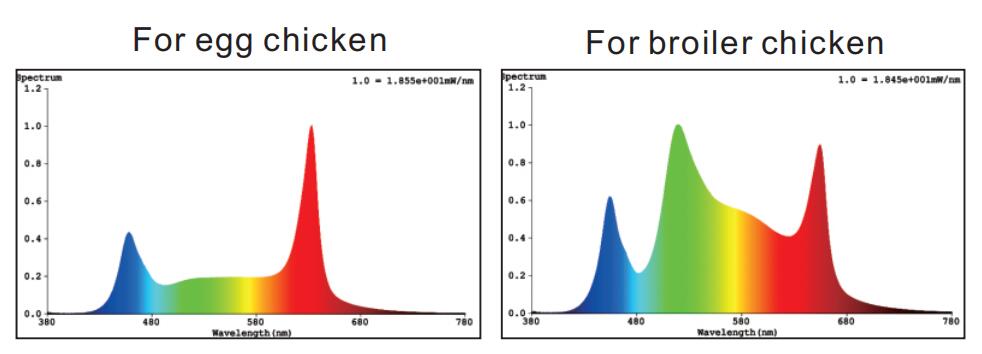 Spectrum.jpg